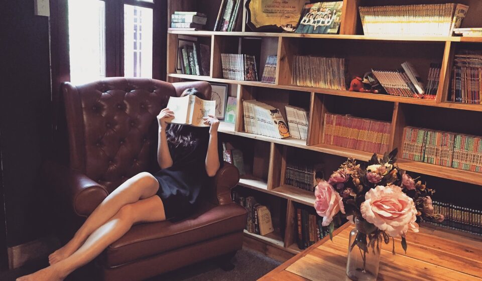 woman, reading, armchair, library, reading book, books, bookcases, bookshelves, sit, sitting, couch, girl, shelves, interiors, indoors, reading, reading, reading, reading, library, library, library, library, library, books, books, books