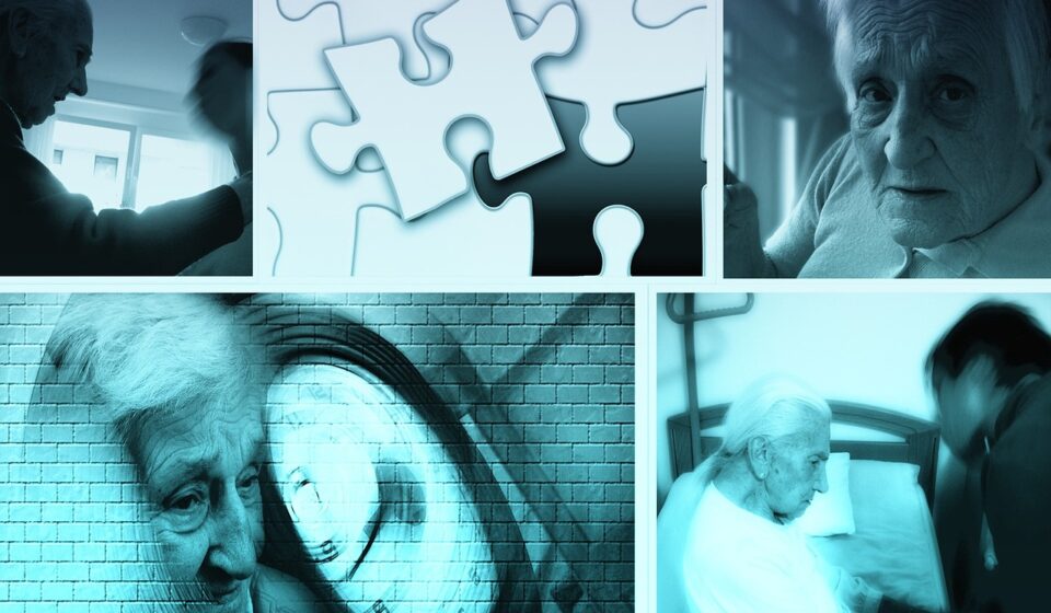 care costs, dementia, woman, old, alzheimer's, retirement home, care for the elderly, age spots, old people's home, nationals, fear, care, character, think, folds, ghost, face, health, disease, human, granny, maintenance, need of care, dependent, constant, seniors, calcification, supply, dementia, dementia, dementia, dementia, dementia