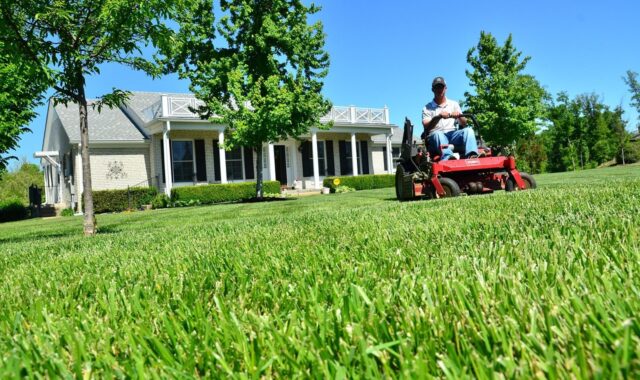 lawn care, lawn maintenance, lawn services, grass cutting, lawn mowing, green care, green service, lawn care, lawn care, lawn care, lawn care, lawn care, lawn mowing
