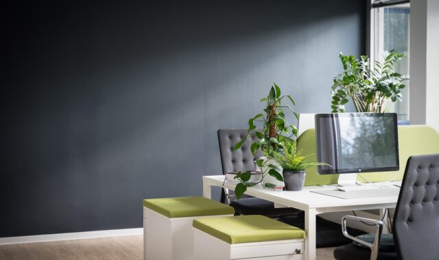 work, desk, office, management, bureaucracy, design, agency, indoor plants, success, company, business, project, planning, interior, furniture, setup, workplace, monitor, digital, job, training