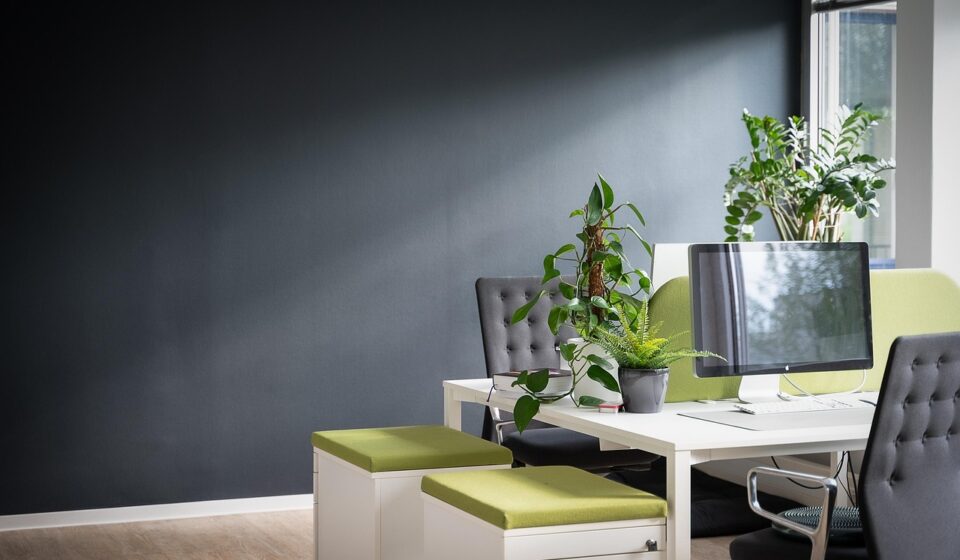 work, desk, office, management, bureaucracy, design, agency, indoor plants, success, company, business, project, planning, interior, furniture, setup, workplace, monitor, digital, job, training