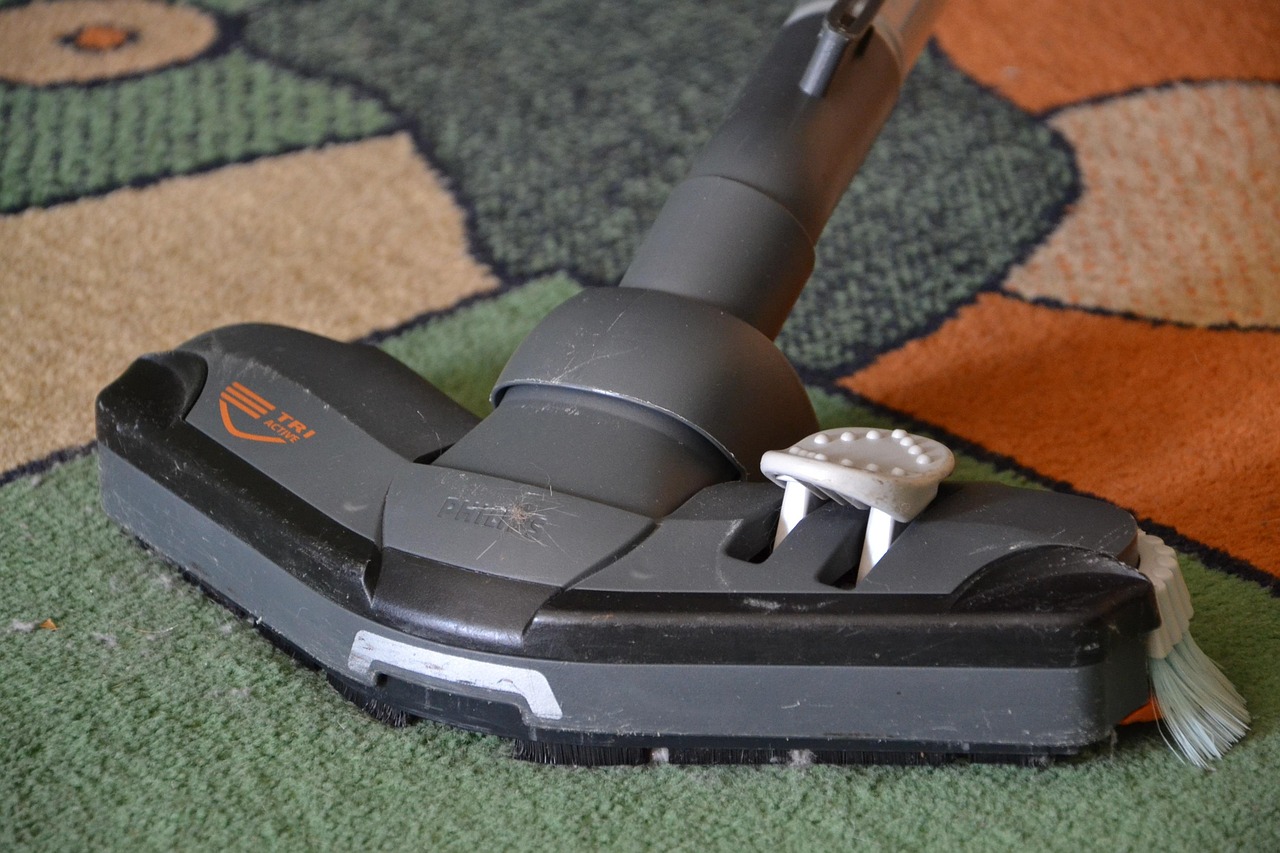 cleaning, to clean, order, vacuum cleaner, vacuuming, rug, covering, clean, vacuum cleaner, vacuum cleaner, vacuum cleaner, vacuum cleaner, vacuum cleaner, vacuuming, rug