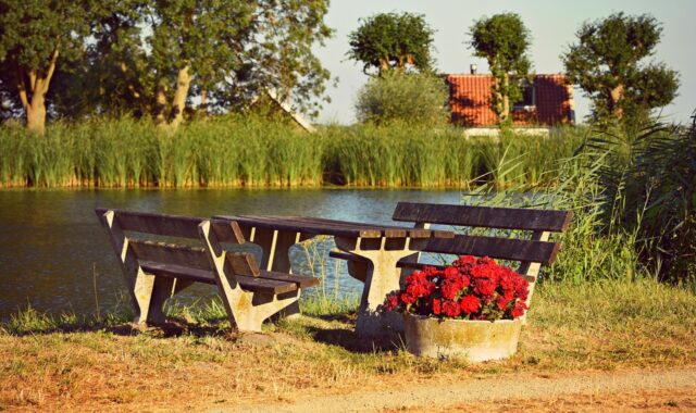 picnic table, outdoor furniture, resting place, public stop, river, nature, scenic beauty, summer, outdoors, picnic table, picnic table, picnic table, picnic table, picnic table, outdoor furniture