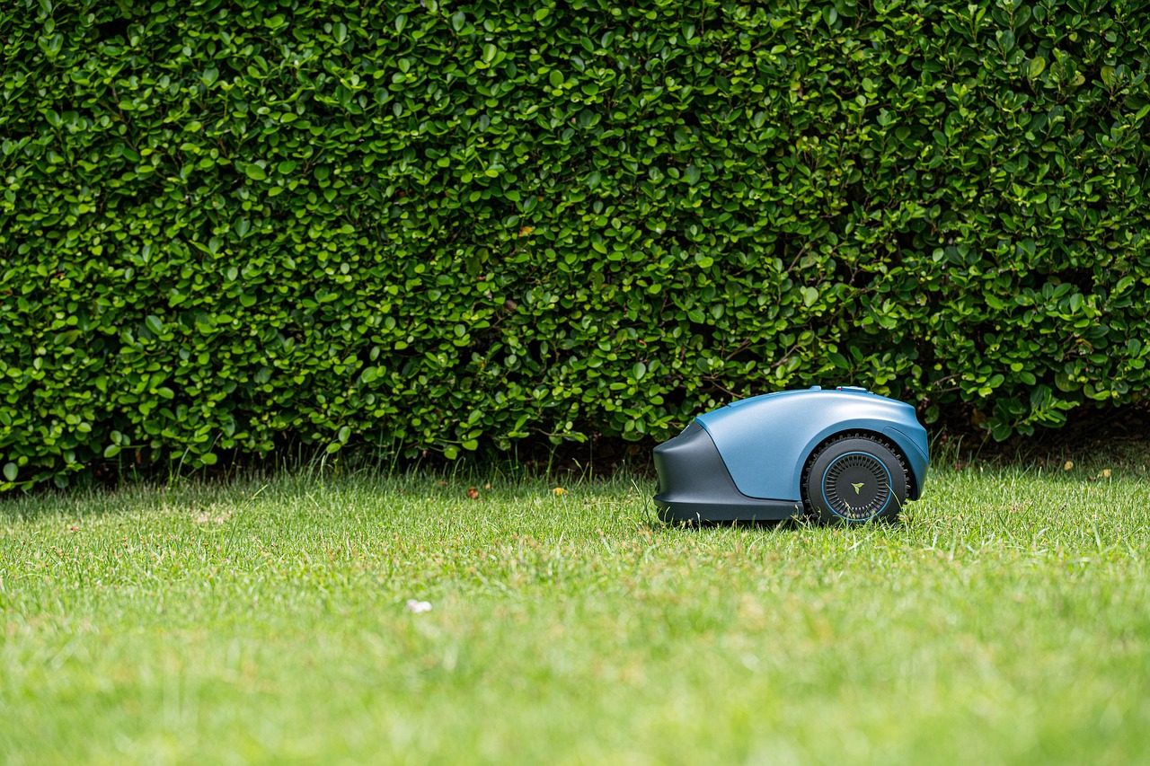 robot, lawnmower, lawn, yard, grass, nature, green, garden