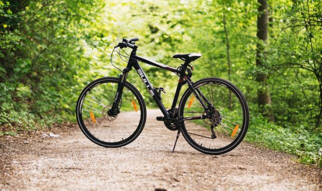 bicycle, bike, forest, path, sports, outdoors, dirt road, mountain bike, wheels, bicycle wheels, nature, parked, park, woods