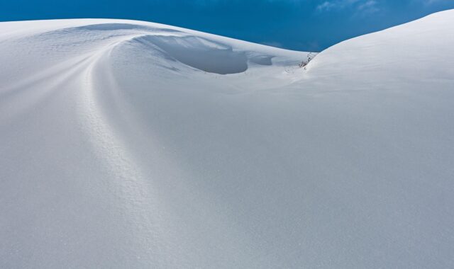 snow, new zealand, snowdrift, snowy, wintry, nature, winter magic, powder snow, deep snow, snow landscape