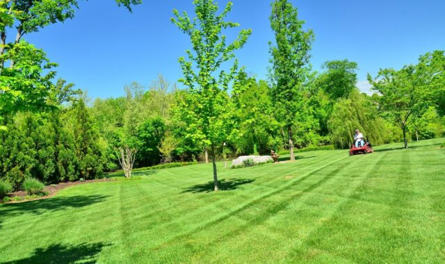 lawn care, lawn maintenance, lawn services, grass cutting, lawn mowing, green care, green service, lawn care, lawn care, lawn care, lawn care, lawn care, lawn mowing