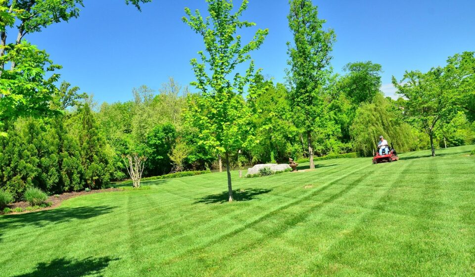 lawn care, lawn maintenance, lawn services, grass cutting, lawn mowing, green care, green service, lawn care, lawn care, lawn care, lawn care, lawn care, lawn mowing