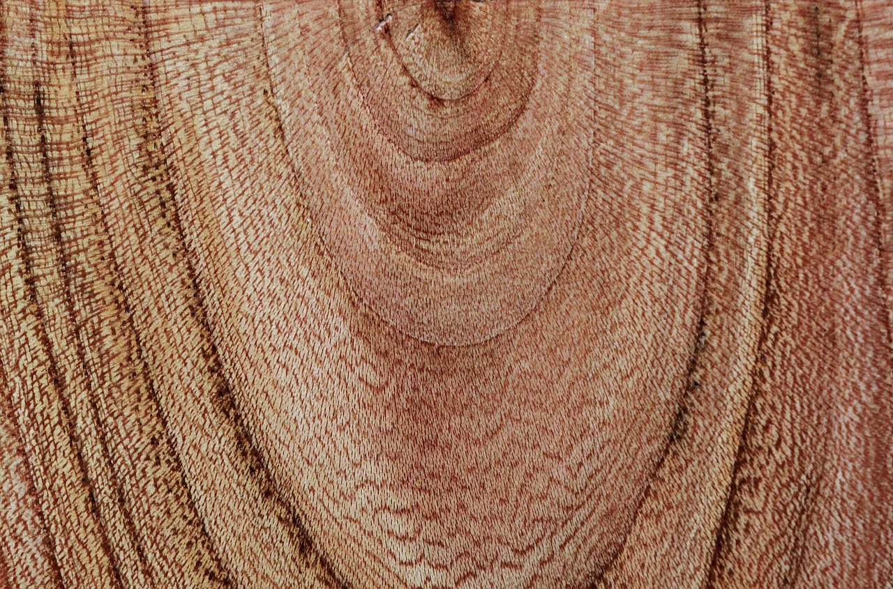 wood, wallpaper 4k, wood grain, windows wallpaper, wood structure, annual rings, hd wallpaper, desktop backgrounds, beautiful wallpaper, free background, grain, free wallpaper, background, texture, textures, 4k wallpaper, furniture wood, nature, mac wallpaper, material, construction material, full hd wallpaper, furniture, 4k wallpaper 1920x1080, furniture material, wooden board, macro, laptop wallpaper, wallpaper hd, detail shot, cool backgrounds, elm, elm wood, armor, close up