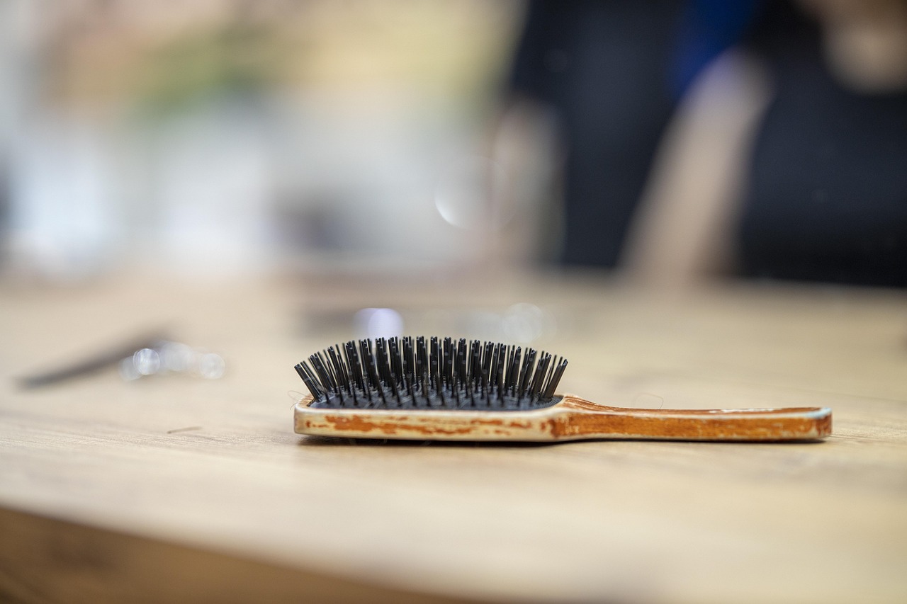 hair, comb, brush, maintenance, wood, hairdresser, living room, woman, fashion, beauty