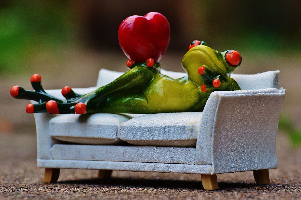 frog, in love, sofa, heart, figure, fun, cute, love, lie, couch, nature, valentine's day, animal