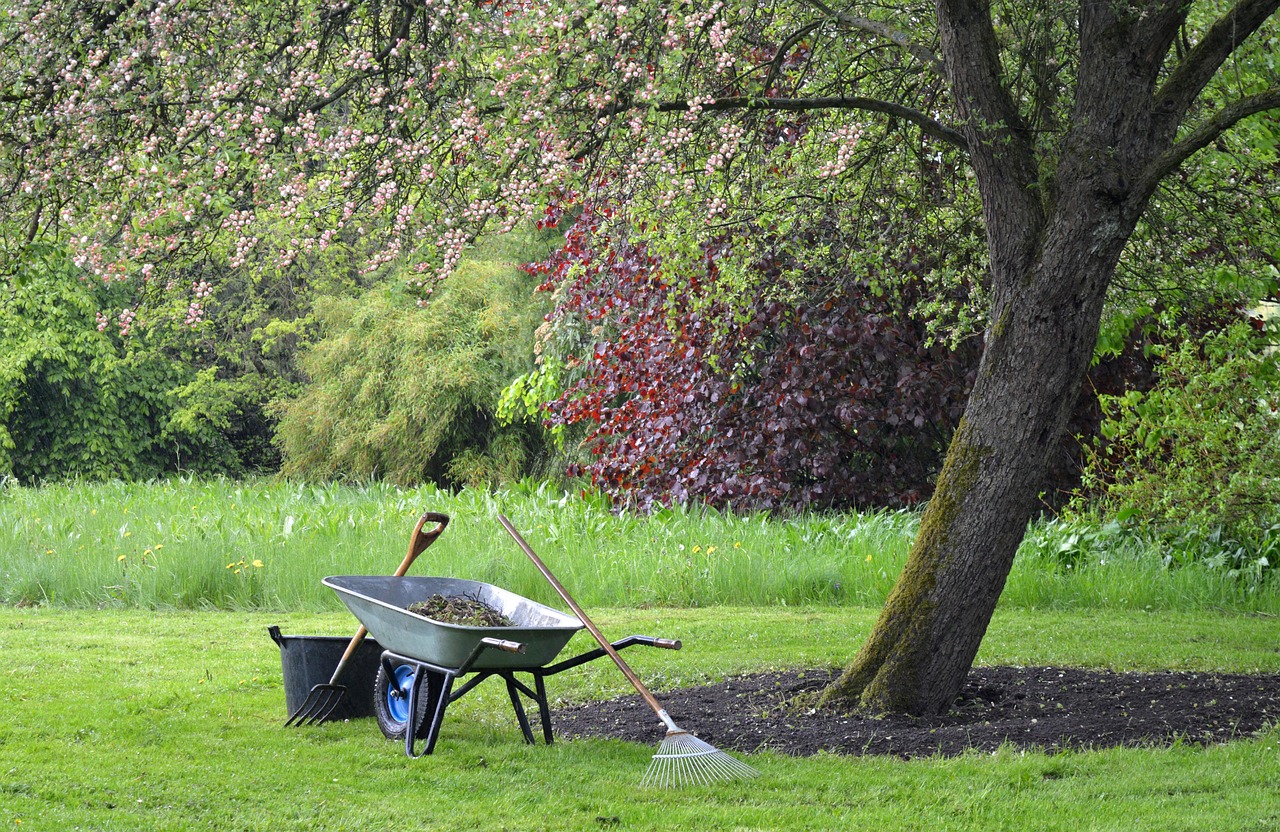 wheelbarrow, computing, garden, gardening, raking leaves, garden fork, spade fork, tree, plants, lawn, garden maintenance, landscape, nature, wheelbarrow, raking leaves, raking leaves, raking leaves, garden fork, garden maintenance, garden maintenance, garden maintenance, garden maintenance, garden maintenance