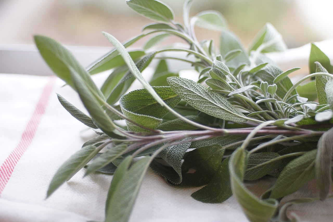 sage, herb, food, spice, seasoning, leaves, plant, branches, cooking, nature, aroma, herbal, aromatic, healthy, sage, sage, sage, sage, sage