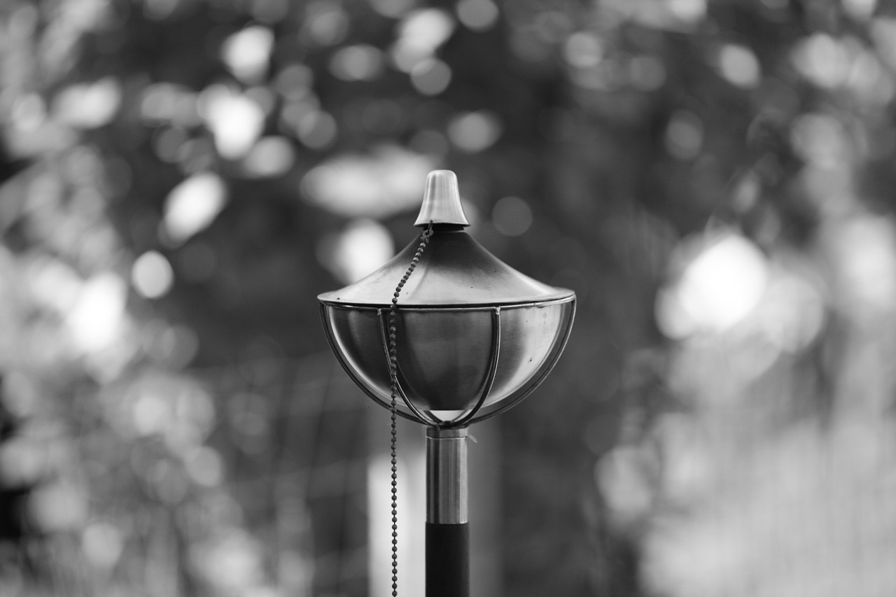 black-and-white, torch, garden, stainless steel, nature, metal